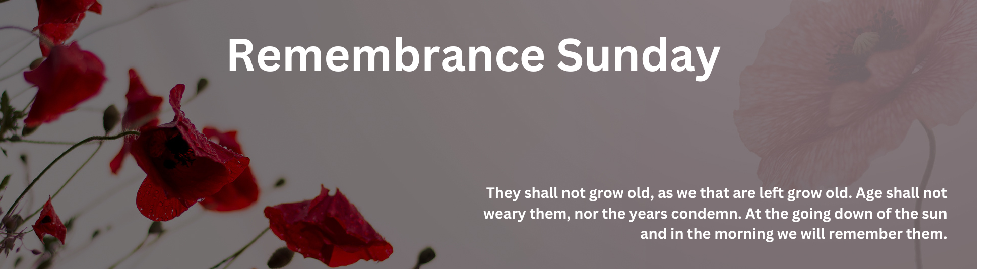 *9th November, 10:30am