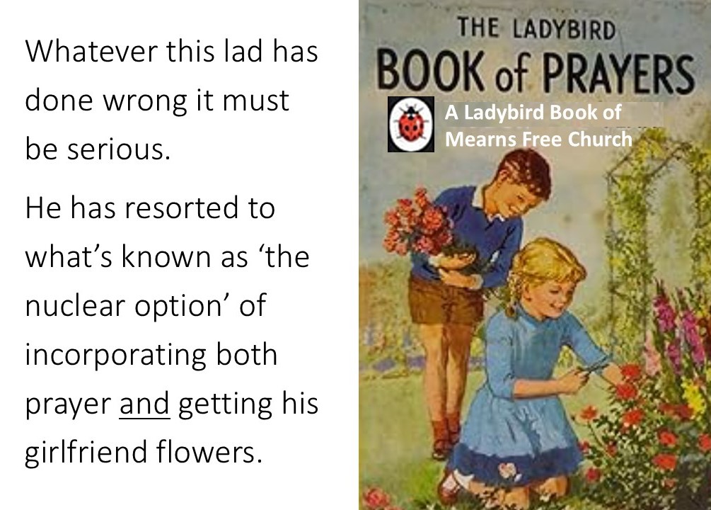 ladybird page nuclear option