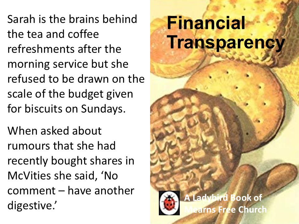 ladybird page financial
