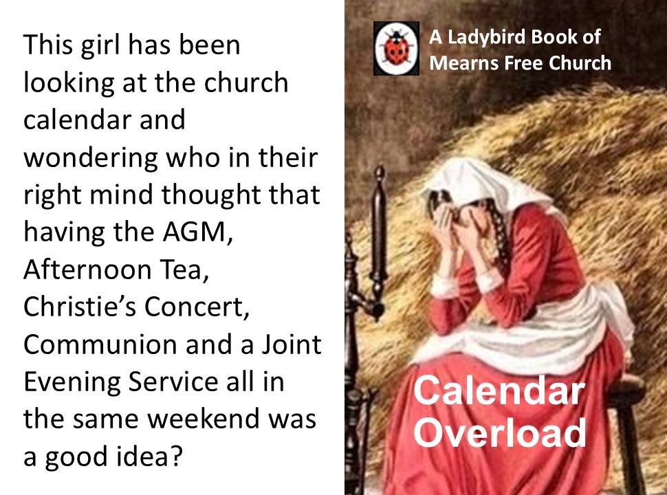 calendar ladybird page