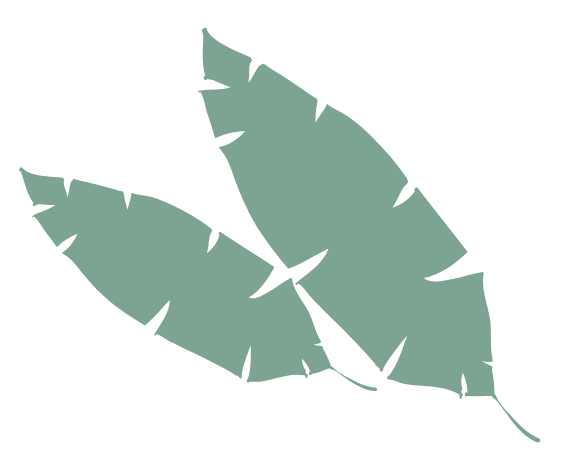 palm leaves
