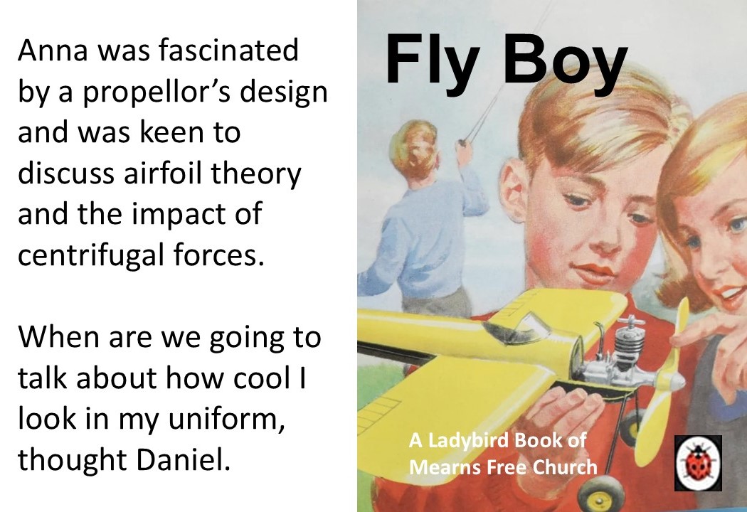 ladybird page of flying