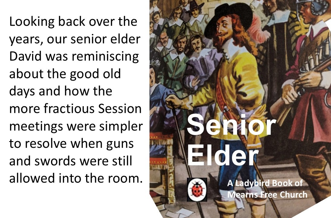 ladybird senior