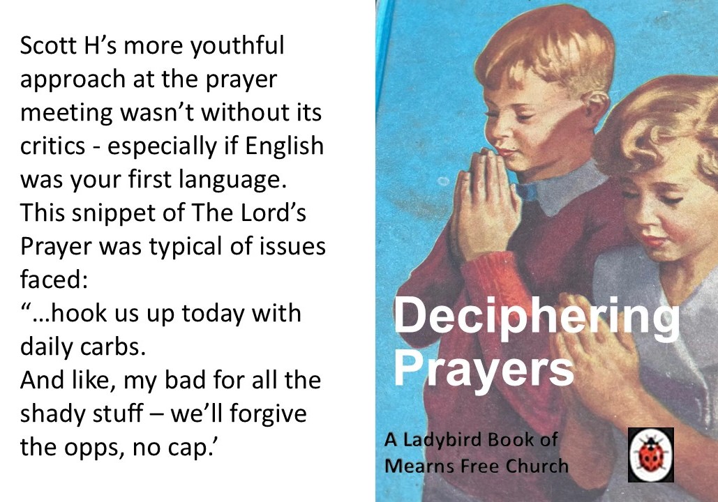 ladybird page scott h