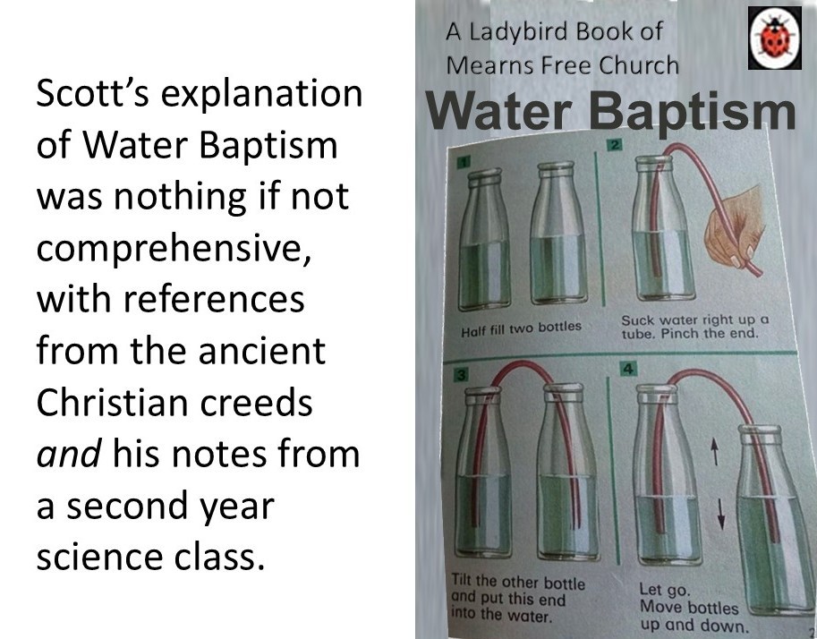 ladybird page of water