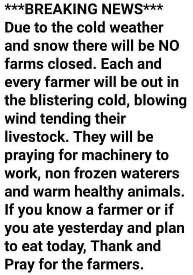 WhatsApp Image 2025-11-25 at 0