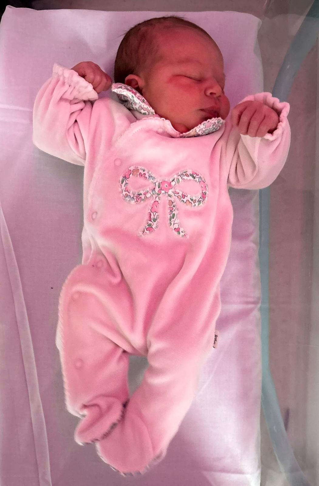 WhatsApp Image 2026-01-24 at 0