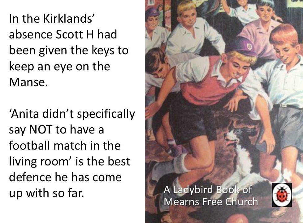 ladybird page manse