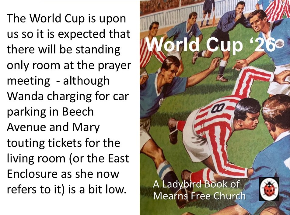 ladybird page world cup