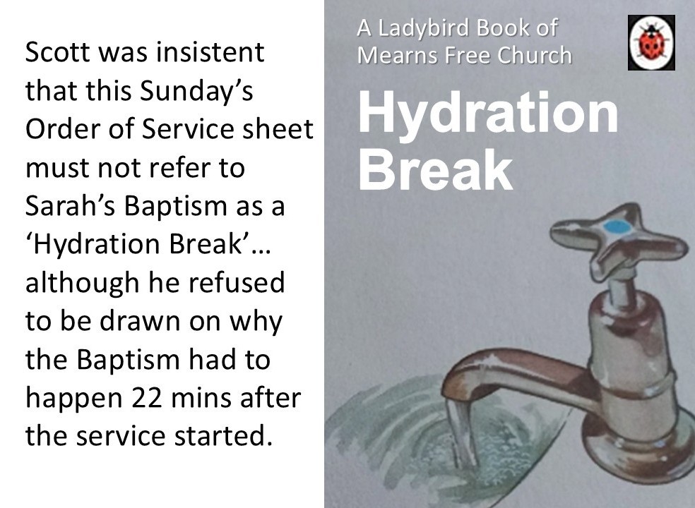 ladybird page hydration