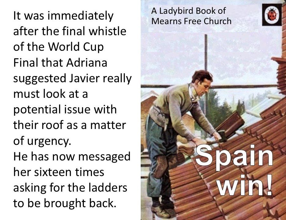 ladybird page world cup