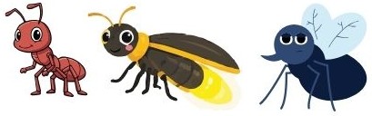 insects